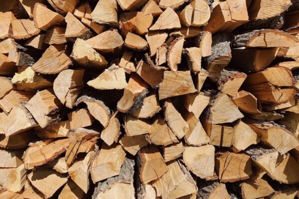 Gespaltenes Brennholz in Nahaufnahme – hochwertiger Rohstoff zum Heizen und Lagern