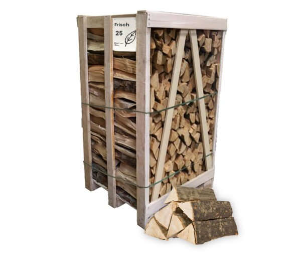 Brennholz Hainbuche, halbtrocken, 25 cm – Regalpalette