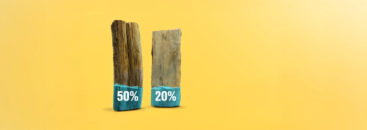 Wasser im Brennholz und dessen Feuchtigkeit